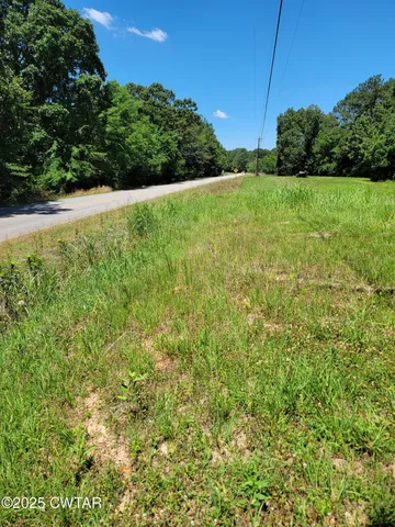 a view of field with plants and a yard