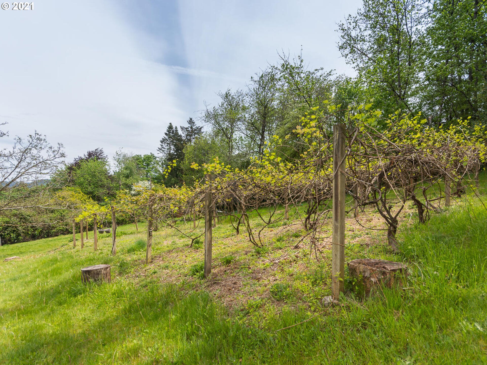 7840 Southeast Barbara Welch Road Portland, OR 97236 - Photo 22 of 23