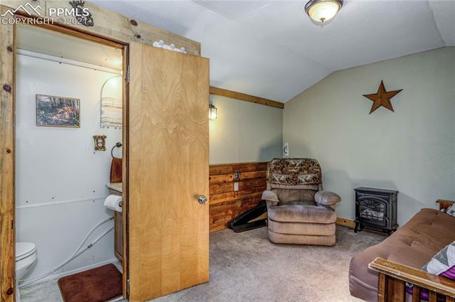 227 Beaver Pond Road Divide, CO 80814 - Photo 15 of 30 Gallery Image 15