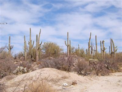 0 South Guild Road Marana, AZ 85653 - Photo 2 of 5