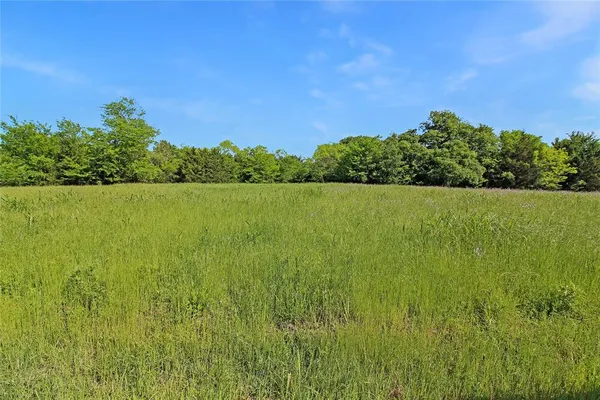$2,799,999 | 7304 Shady Lane, Scurry, TX 75158