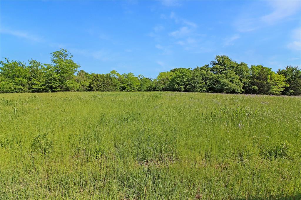 7304 Shady Lane Scurry, TX 75158 - Photo 12 of 40 View of wooded area featuring a rural view