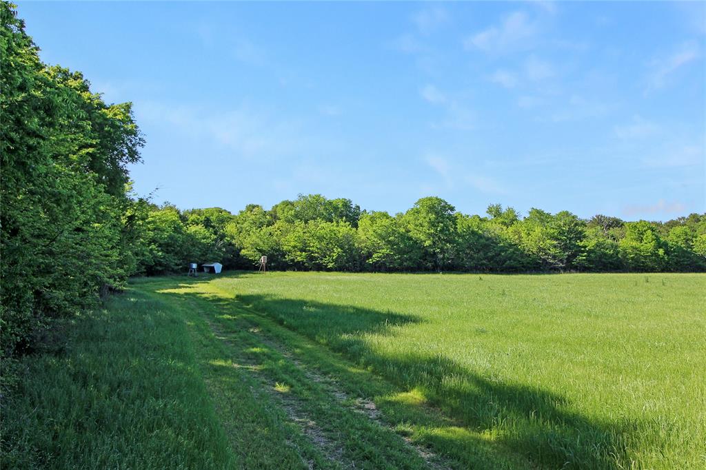 7304 Shady Lane Scurry, TX 75158 - Photo 13 of 40 View of grassy yard with a wooded view and a rural view