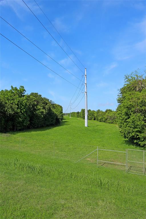 7304 Shady Lane Scurry, TX 75158 - Photo 14 of 40 View of green lawn