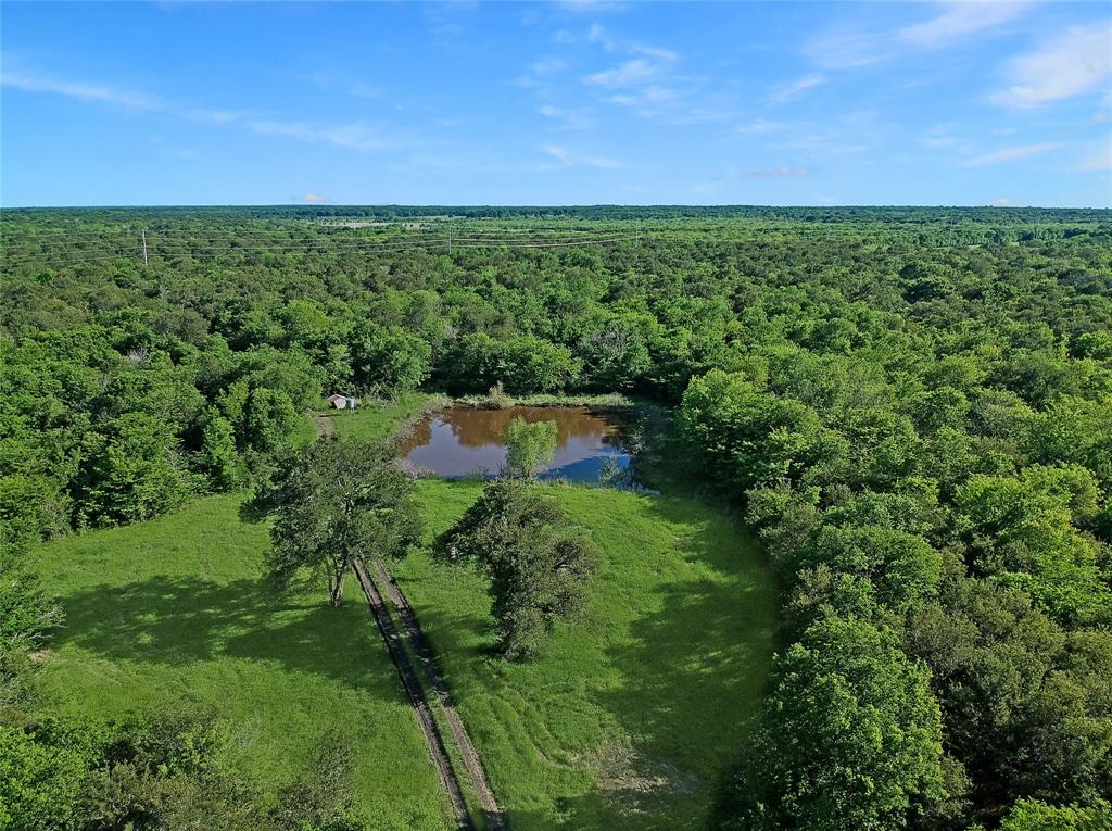 7304 Shady Lane Scurry, TX 75158 - Photo 15 of 40 Aerial view of a forest and a nearby body of water