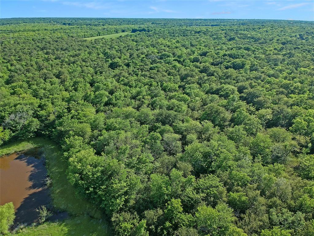 7304 Shady Lane Scurry, TX 75158 - Photo 16 of 40 Aerial view of a nearby body of water