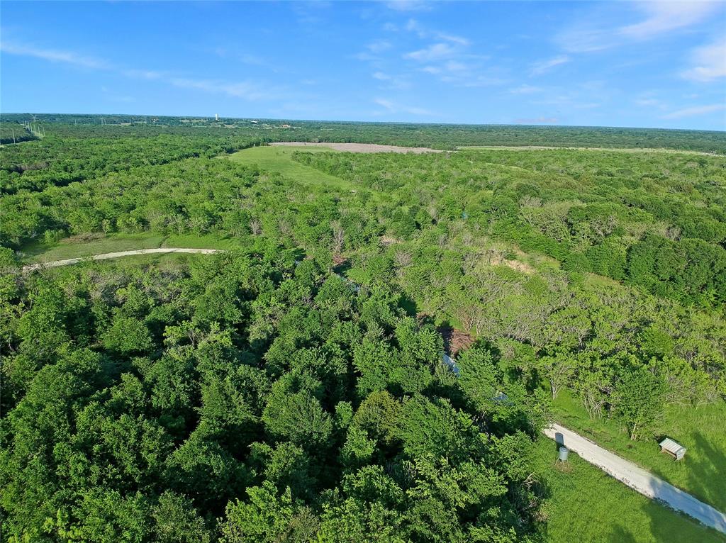 7304 Shady Lane Scurry, TX 75158 - Photo 19 of 40 Aerial overview of property's location with a forest