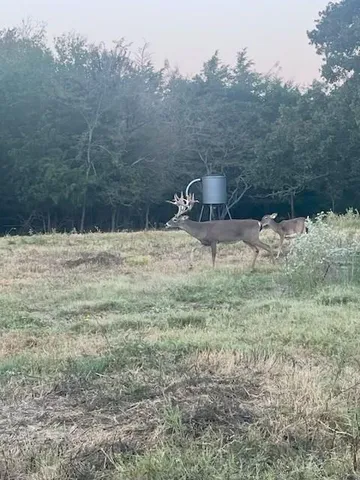 $2,999,999 | 7304 Shady Lane, Scurry, TX 75158