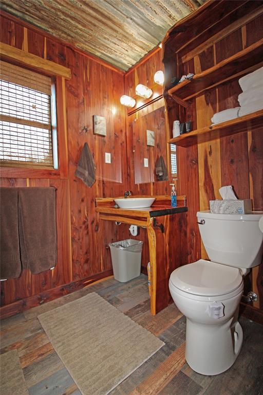 7304 Shady Lane Scurry, TX 75158 - Photo 29 of 40 Half bath with wooden walls, plenty of natural light, vanity, wood ceiling, and dark wood finished floors