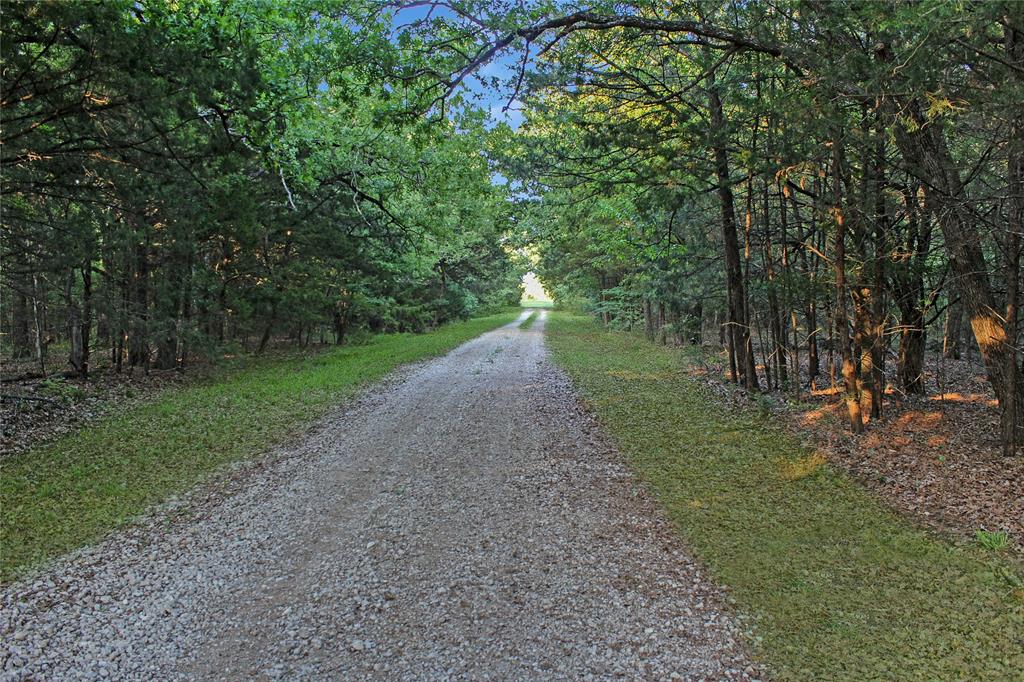 7304 Shady Lane Scurry, TX 75158 - Photo 32 of 40 View of dirt / gravel road with a view of trees