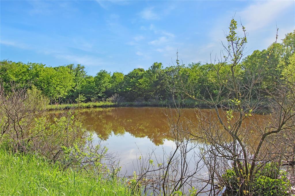 7304 Shady Lane Scurry, TX 75158 - Photo 39 of 40 Water view featuring a forest