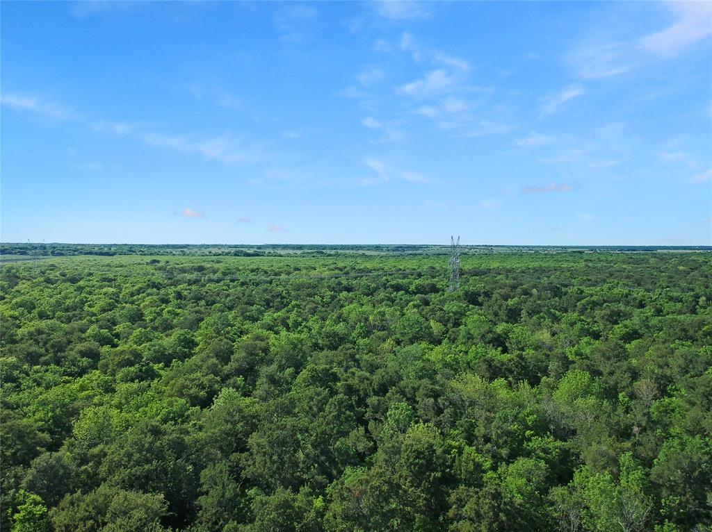 7304 Shady Lane Scurry, TX 75158 - Photo 4 of 40 Drone / aerial view of a heavily wooded area