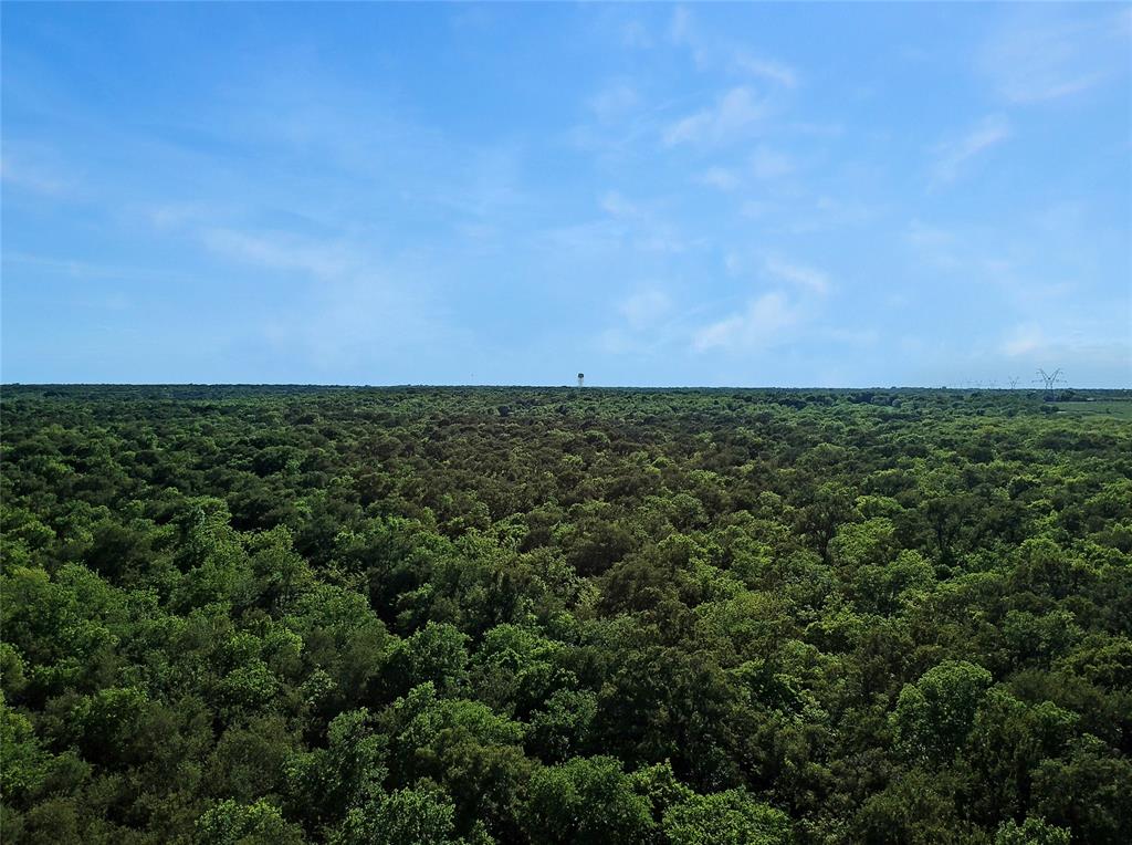 7304 Shady Lane Scurry, TX 75158 - Photo 7 of 40 Drone / aerial view of a forest