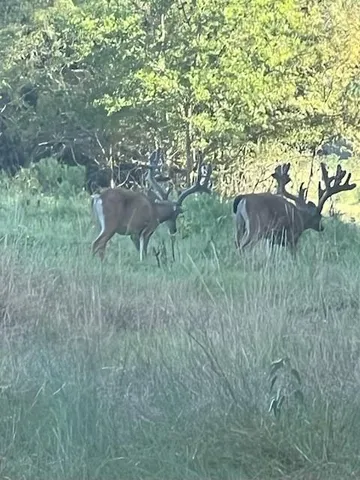 $2,999,999 | 7304 Shady Lane, Scurry, TX 75158