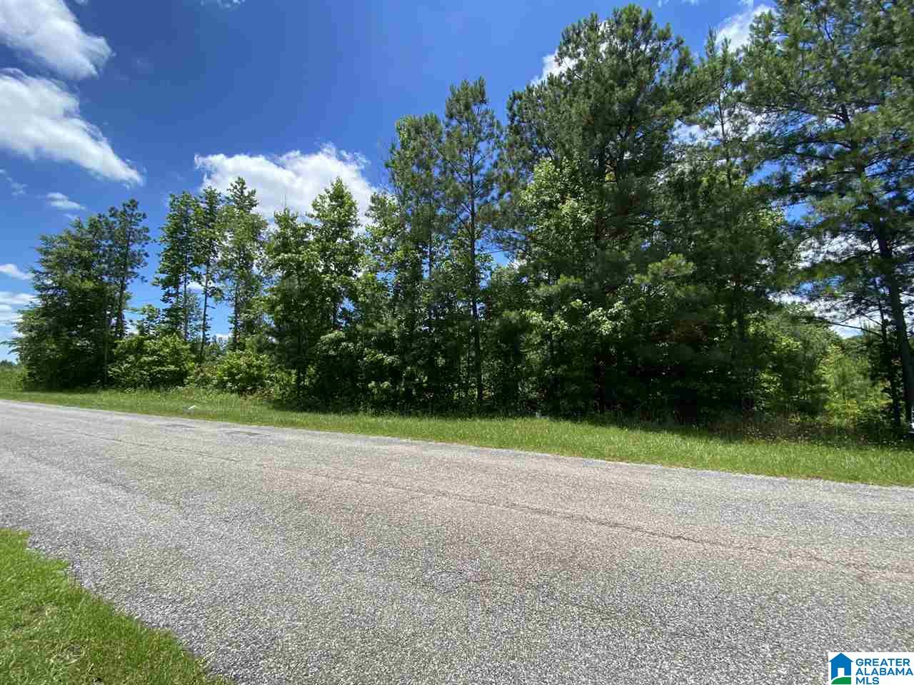 25 County Road, Unit 7 59 Woodland, AL 36280 - Photo 2 of 6