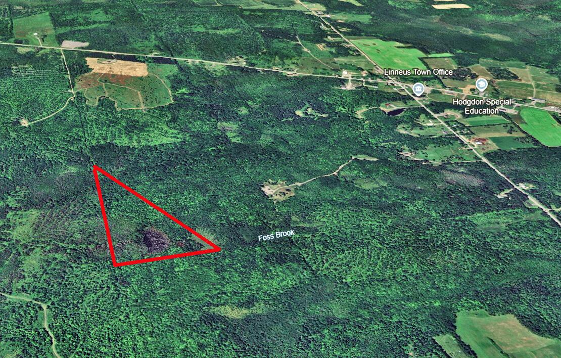 Lot 2 Off Bangor Road Houlton, ME 04730 - Photo 21 of 44 topo-aerial-map
