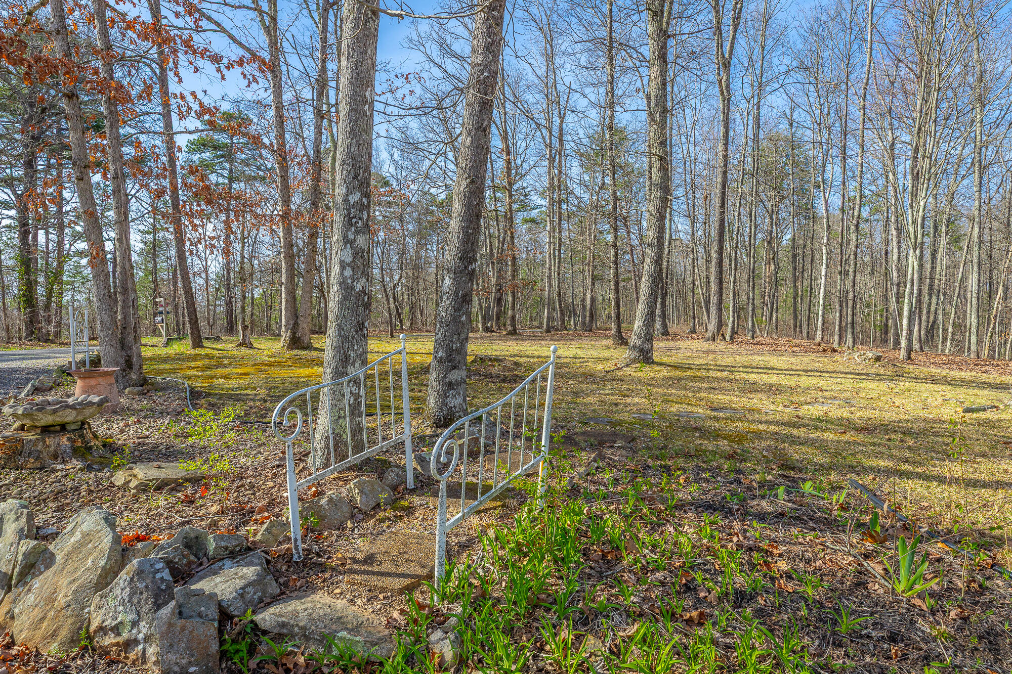 737 Miller Cove Road Signal Mountain, TN 37377 - Photo 20 of 65 737 Miller Cove Road HD-72