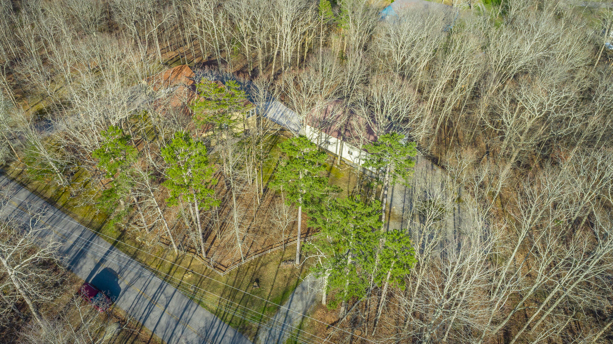 737 Miller Cove Road Signal Mountain, TN 37377 - Photo 4 of 65 737 Miller Cove Road HD-33
