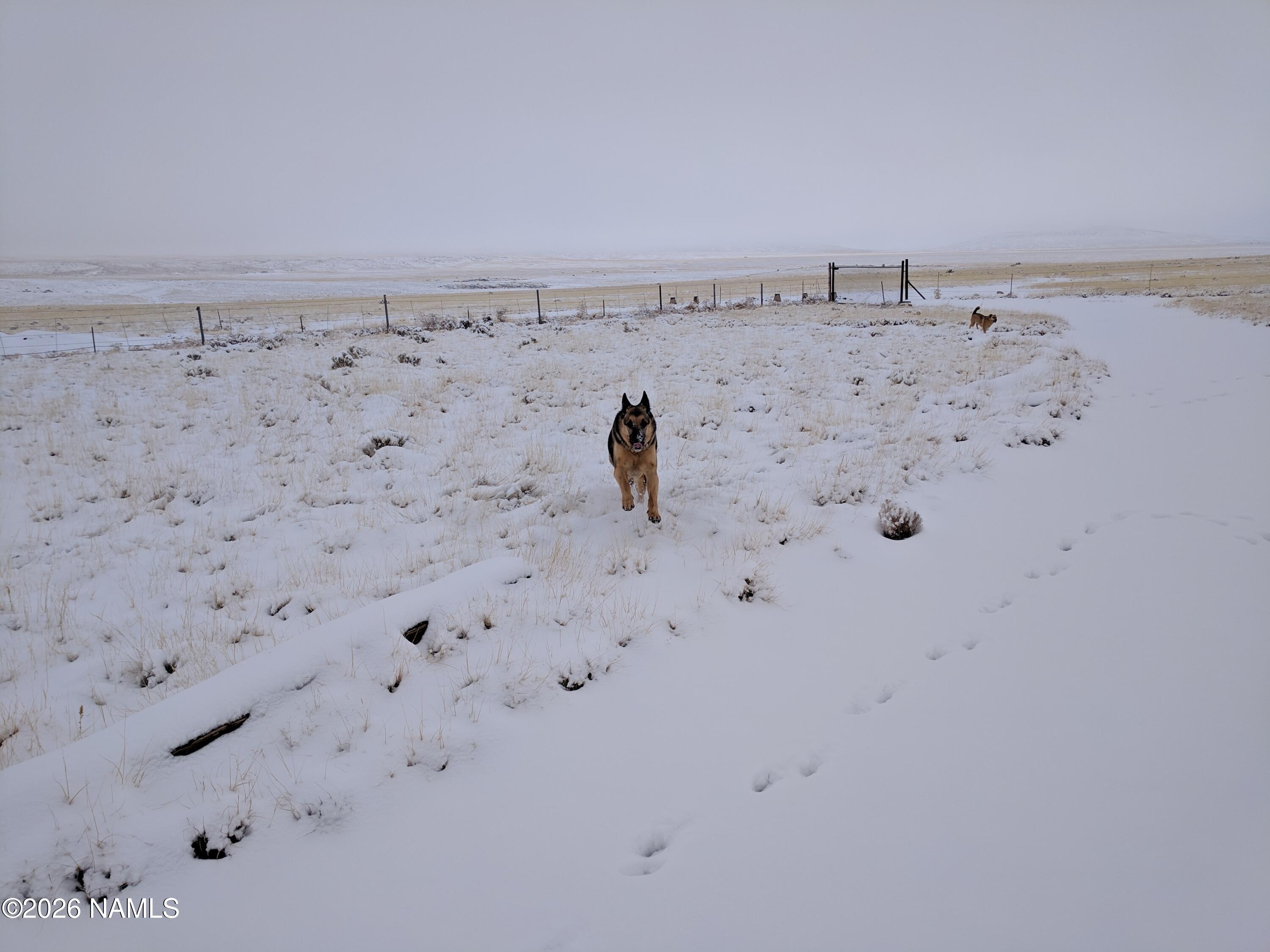 28465 Ringtail Road Flagstaff, AZ 86004 - Photo 39 of 66 IMG_20190113_105041