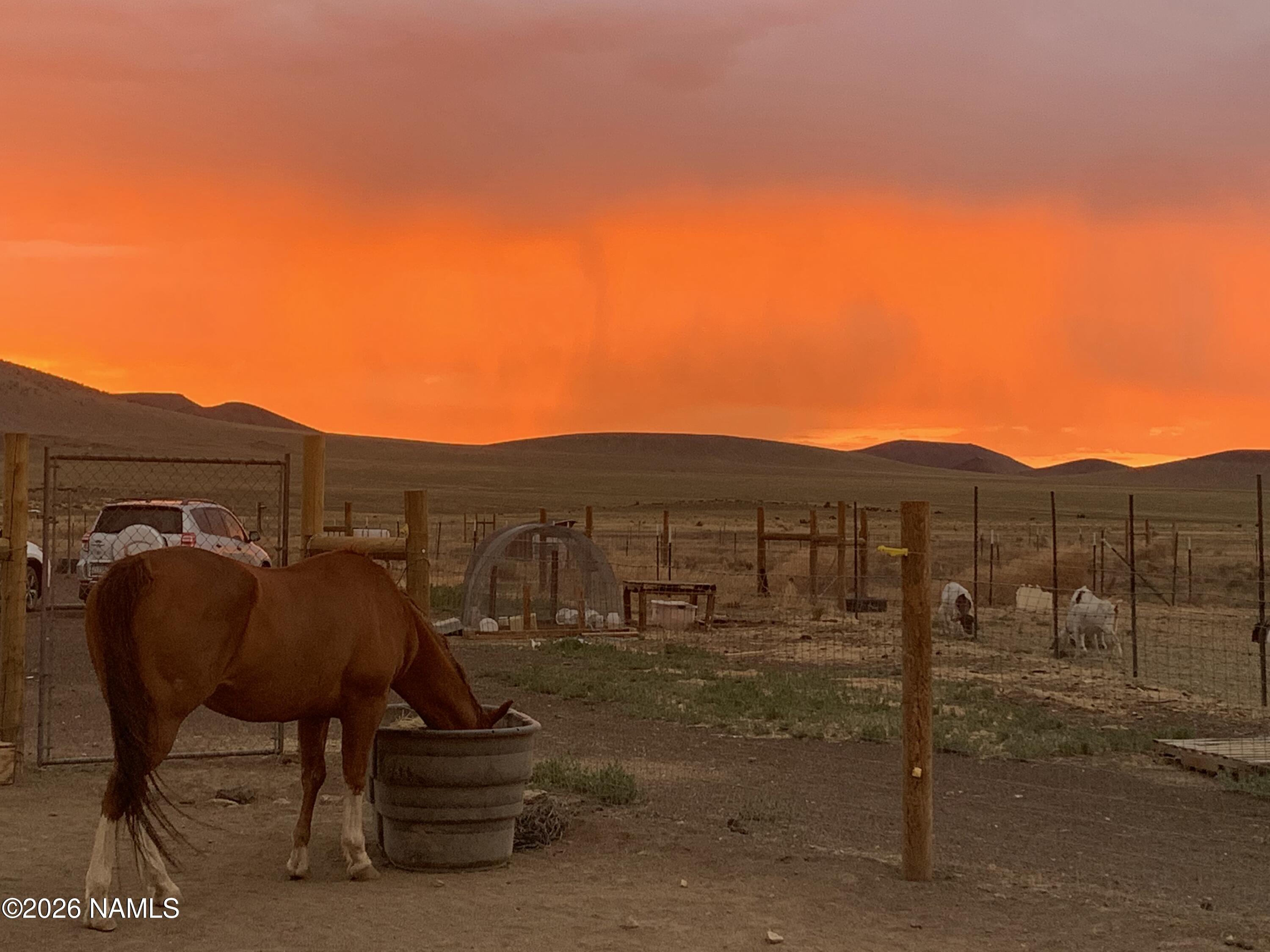 28465 Ringtail Road Flagstaff, AZ 86004 - Photo 62 of 66 IMG_20260217_183546
