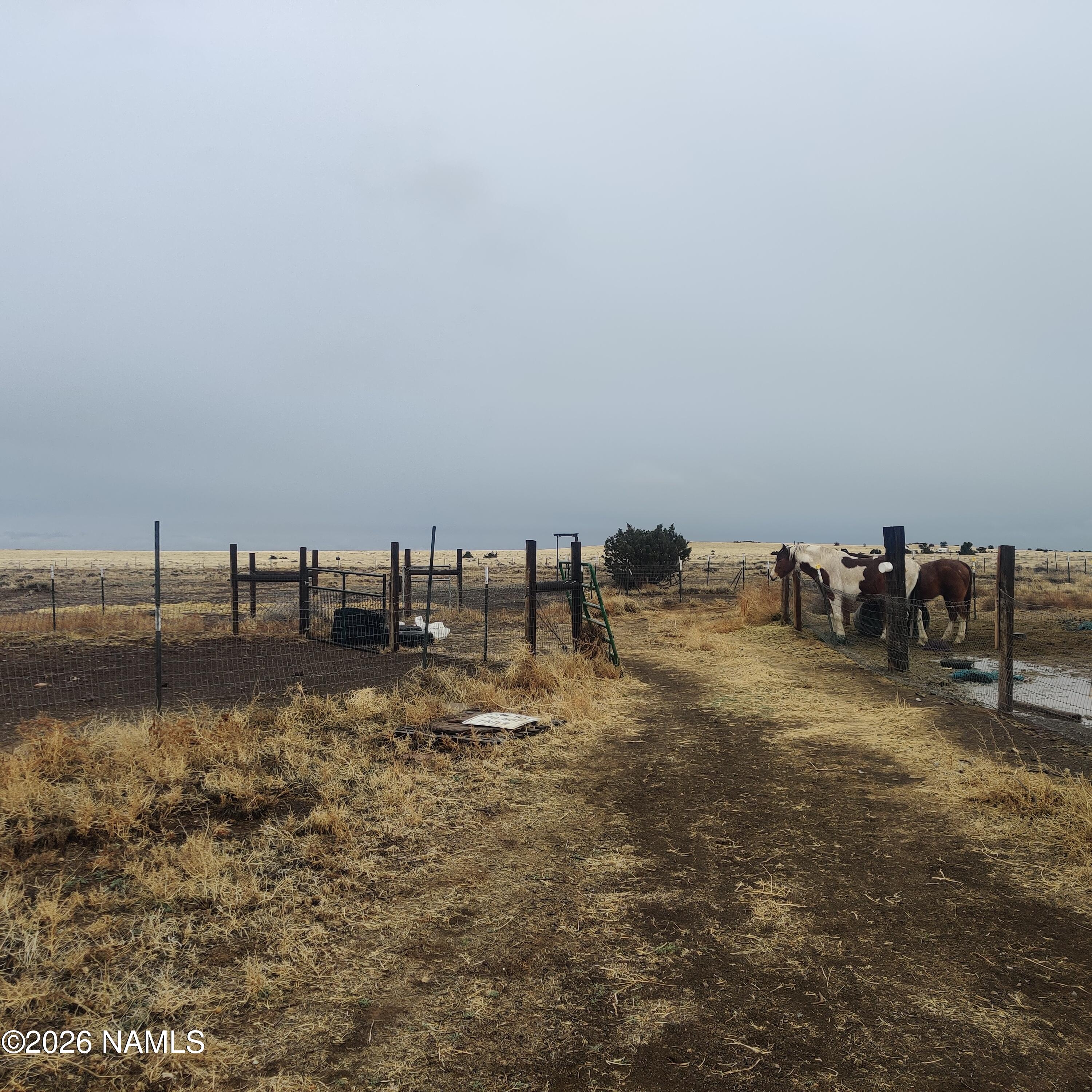 28465 Ringtail Road Flagstaff, AZ 86004 - Photo 10 of 66 IMG_20260213_153809