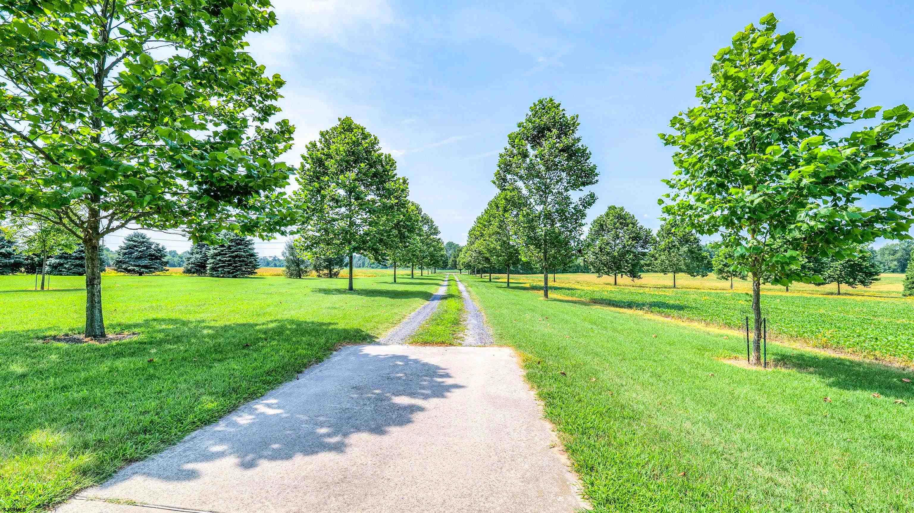 36 Cream Ridge Road Salem, NJ 08079 - Photo 11 of 53 a view of a park with large trees