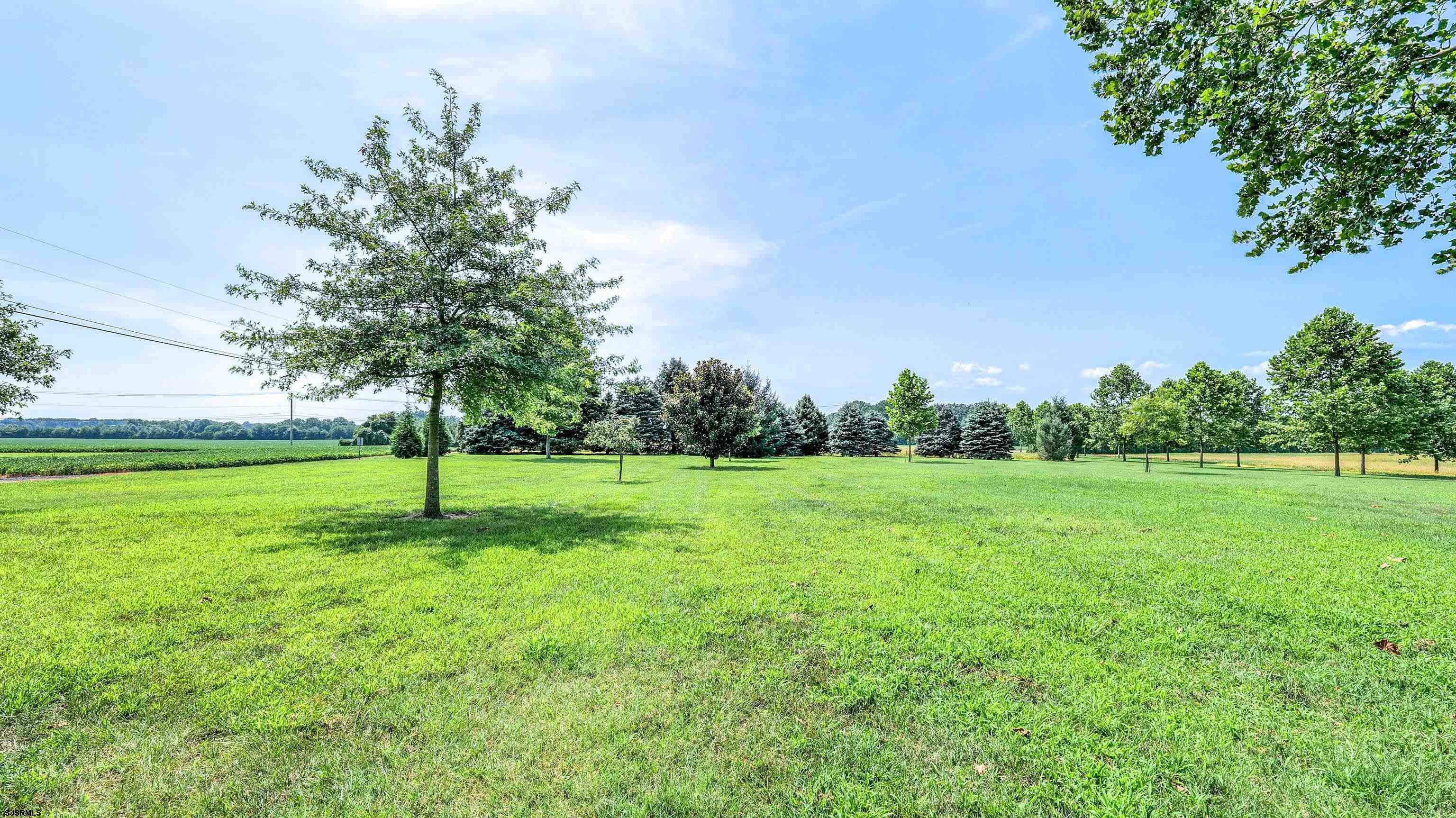 36 Cream Ridge Road Salem, NJ 08079 - Photo 12 of 53 a view of field with trees in the background