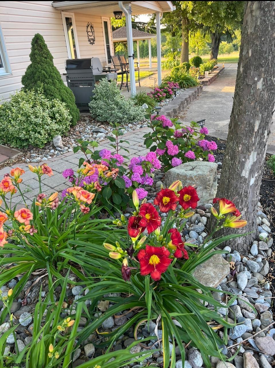 36 Cream Ridge Road Salem, NJ 08079 - Photo 16 of 53 a picture of flowers