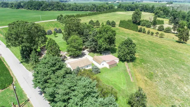 a view of a big yard with large trees