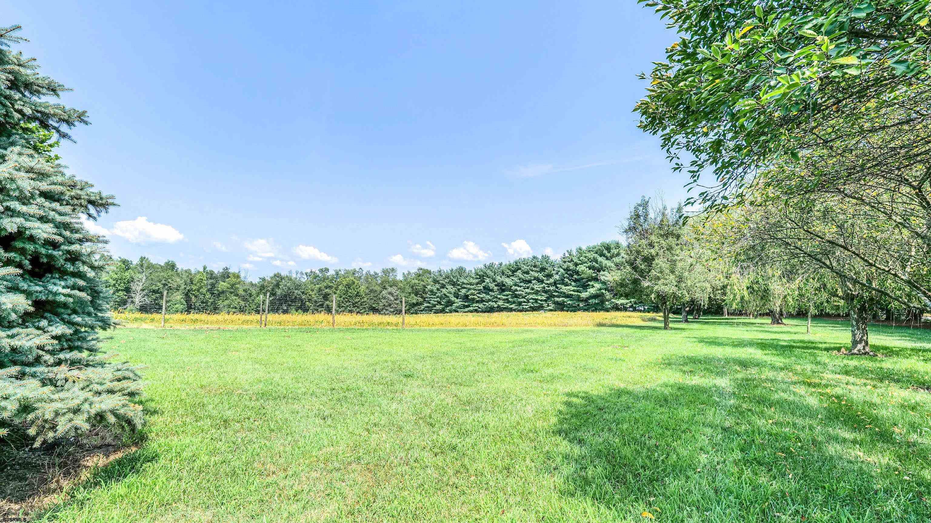36 Cream Ridge Road Salem, NJ 08079 - Photo 51 of 53 a view of a big yard with an outdoor and seating space