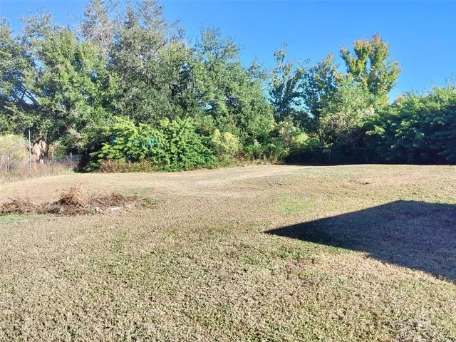 a view of yard with tree