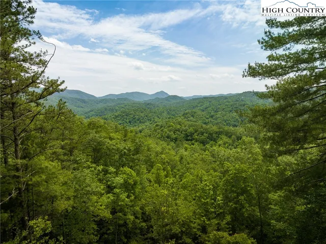 a view of a big yard
