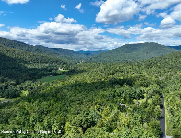 a view of a big yard with lots of green space