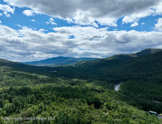 a view of a green field with lots of bushes