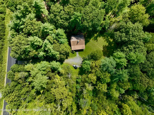 a view of a bunch of trees