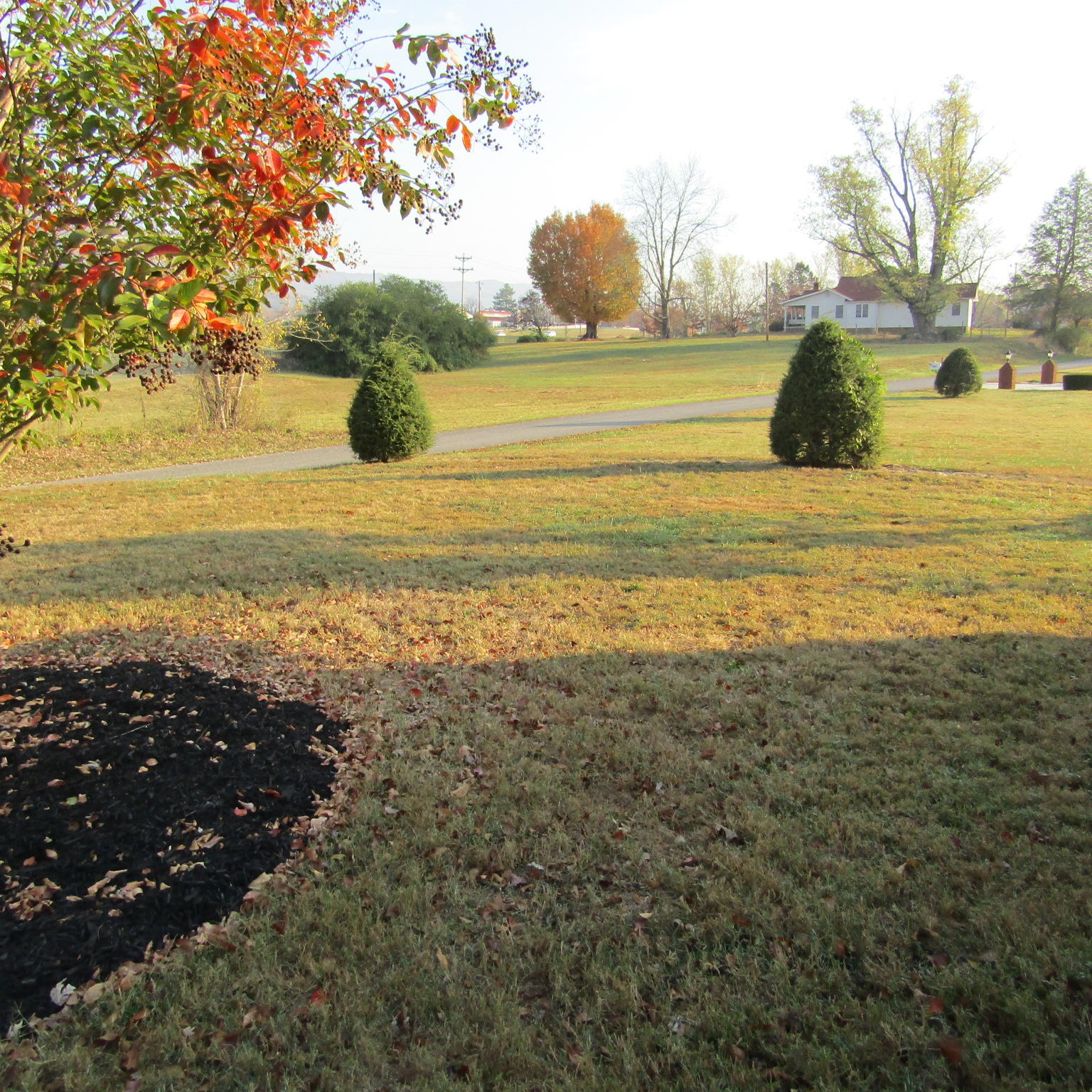 315 Shetland Road La Follette, TN 37766 - Photo 34 of 35 IMG_1654