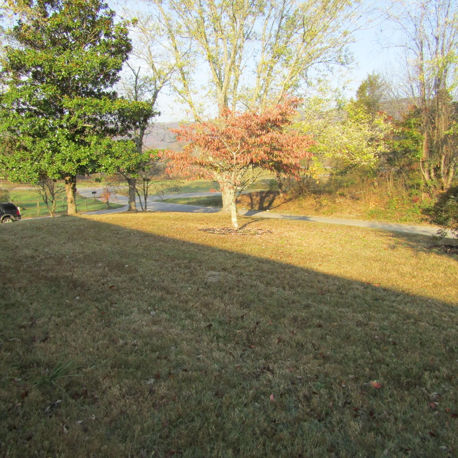 315 Shetland Road La Follette, TN 37766 - Photo 35 of 35 IMG_1655