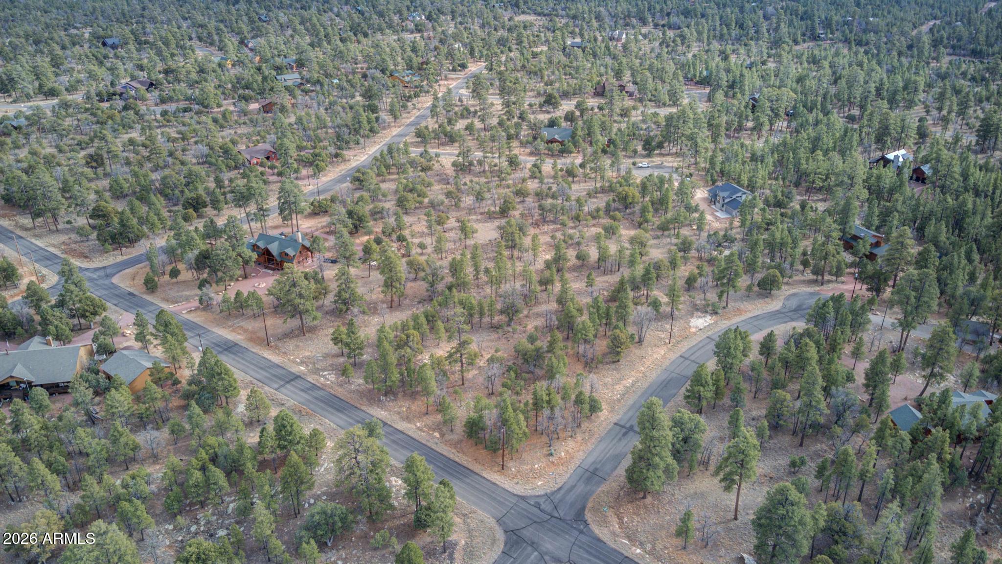 5527 Datil Circle, Unit 325 Happy Jack, AZ 86024 - Photo 11 of 21 a view of a forest from a balcony