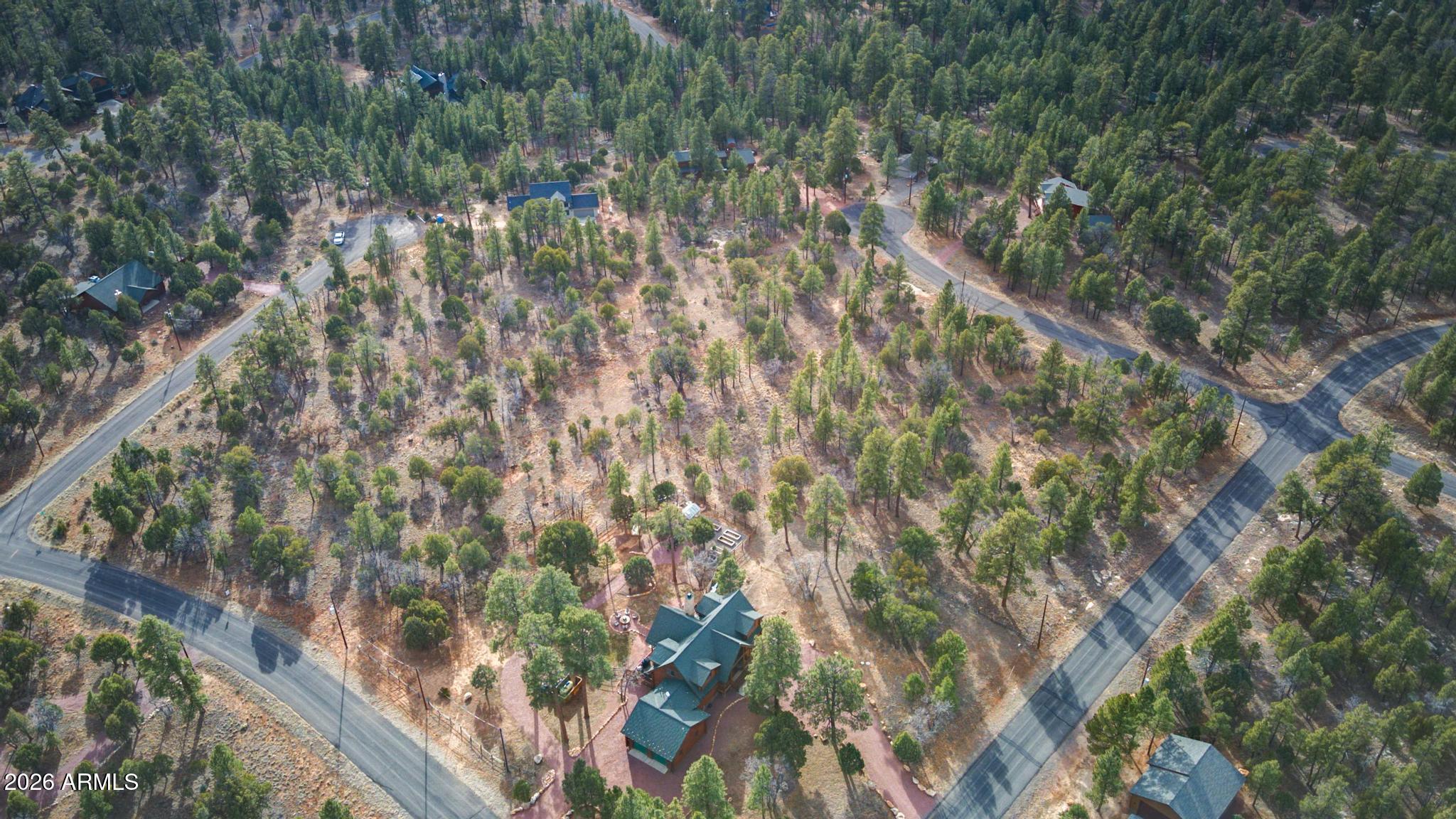 5527 Datil Circle, Unit 325 Happy Jack, AZ 86024 - Photo 12 of 21 a backyard of a house with lots of green space