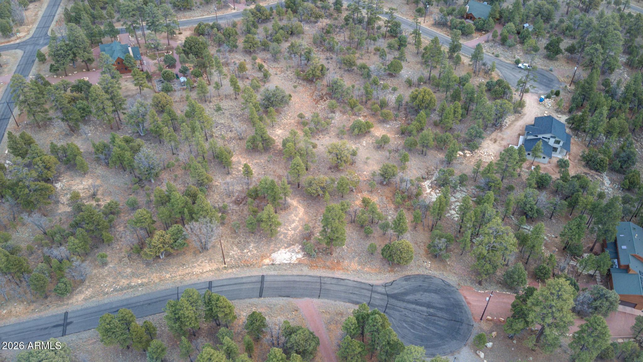 5527 Datil Circle, Unit 325 Happy Jack, AZ 86024 - Photo 17 of 21 a view of a yard with plants and large trees