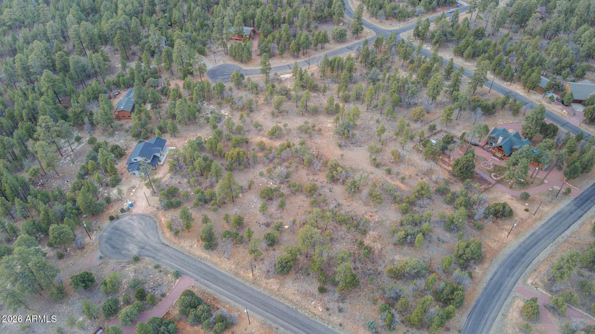 5527 Datil Circle, Unit 325 Happy Jack, AZ 86024 - Photo 18 of 21 a view of a yard with a tree