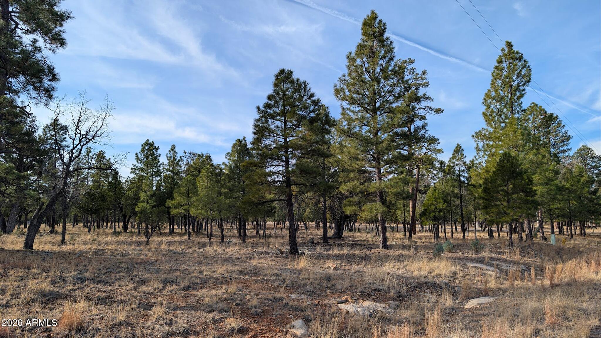 5527 Datil Circle, Unit 325 Happy Jack, AZ 86024 - Photo 20 of 21 a view of a forest with trees in the background