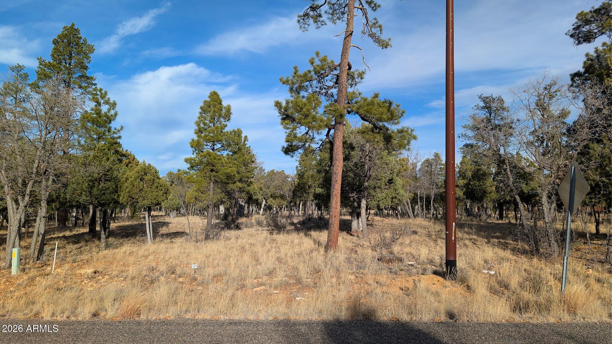 5527 Datil Circle, Unit 325 Happy Jack, AZ 86024 - Photo 21 of 21 a view of a outdoor space with lots of trees