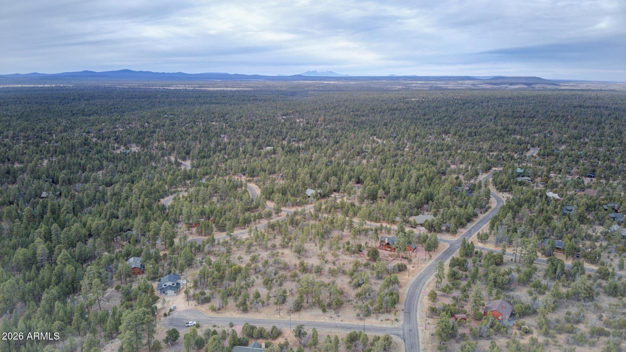 5527 Datil Circle, Unit 325 Happy Jack, AZ 86024 - Photo 5 of 21 a view of a city with lush green forest