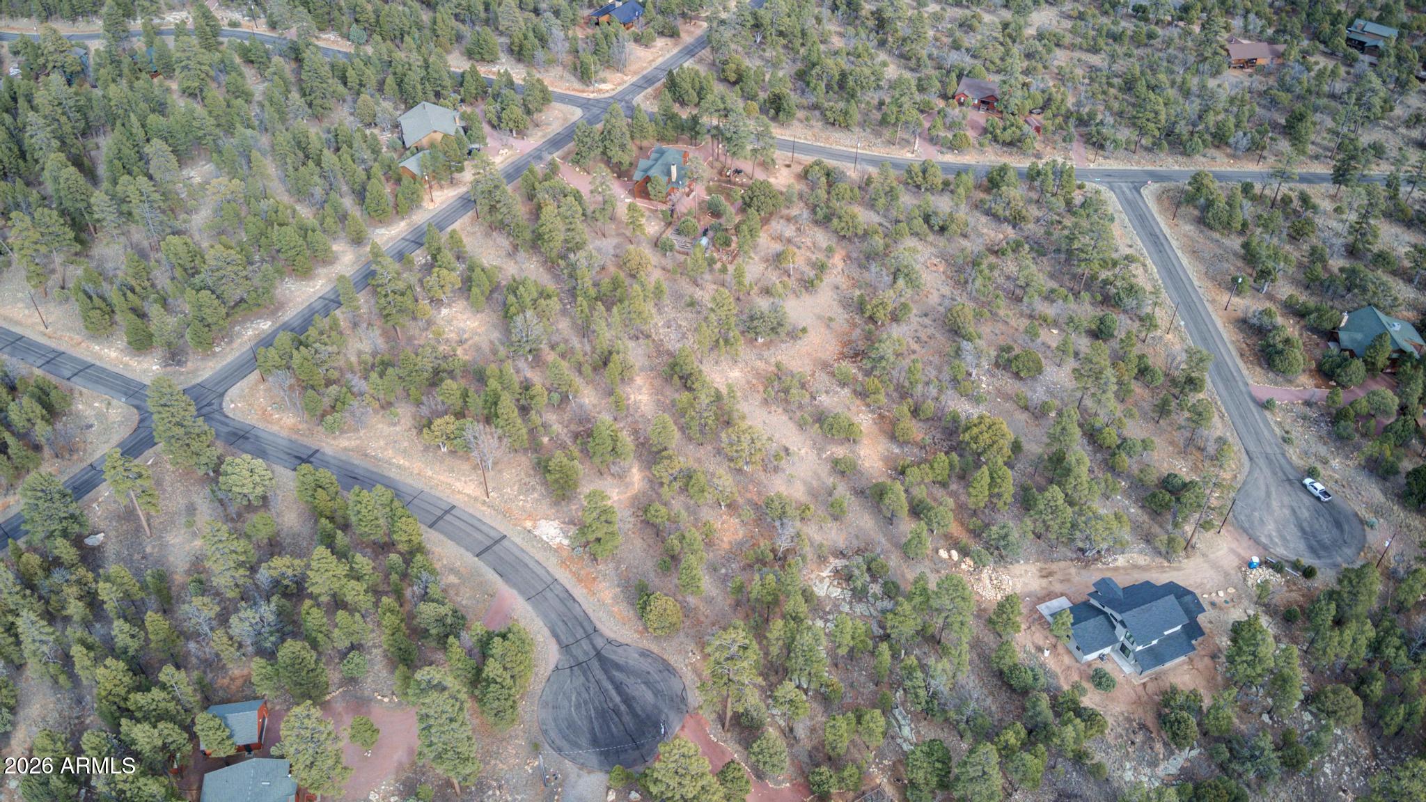 5527 Datil Circle, Unit 325 Happy Jack, AZ 86024 - Photo 7 of 21 a picture of tree