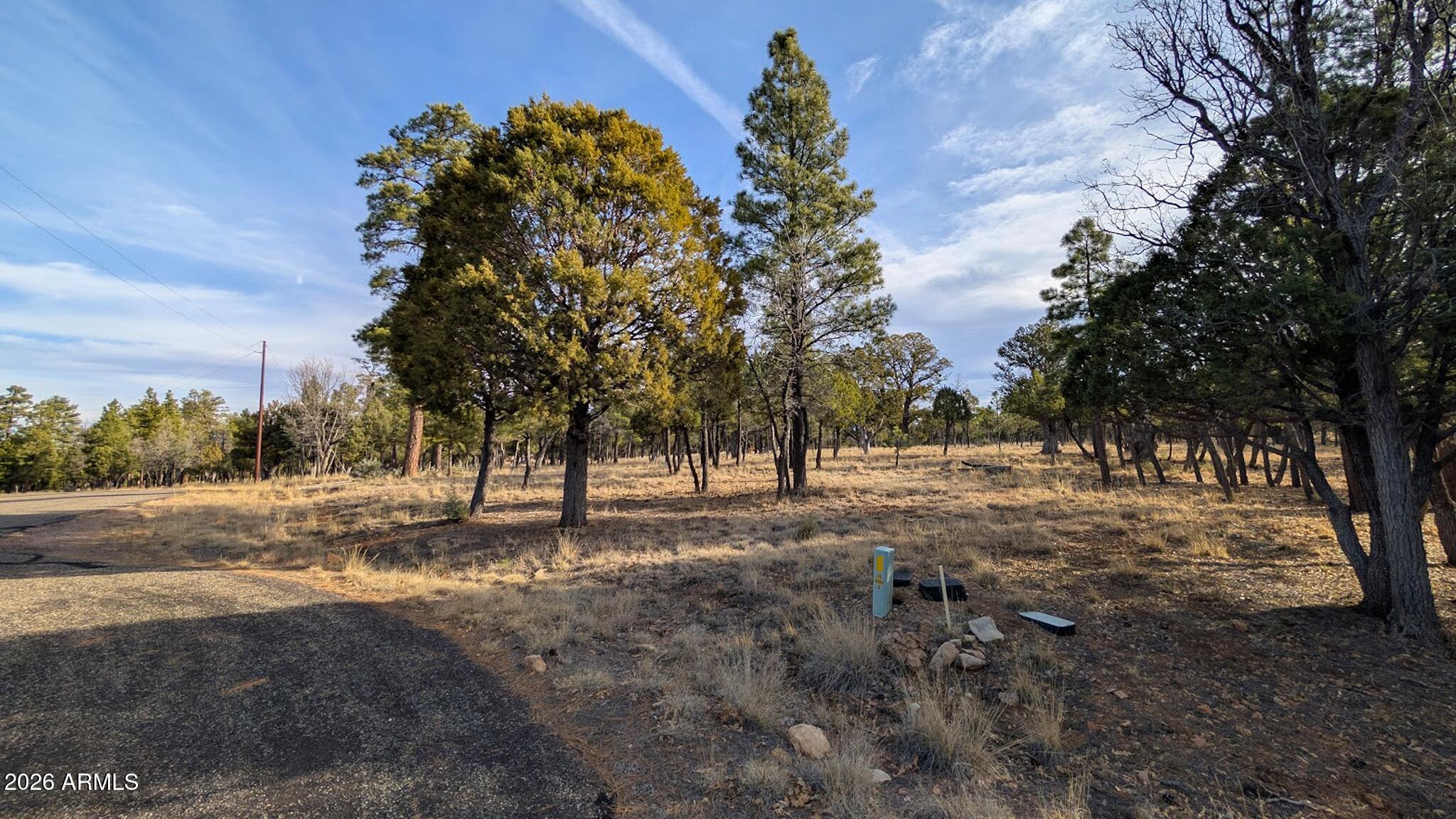 5527 Datil Circle, Unit 325 Happy Jack, AZ 86024 - Photo 8 of 21 a view of dirt yard with a tree