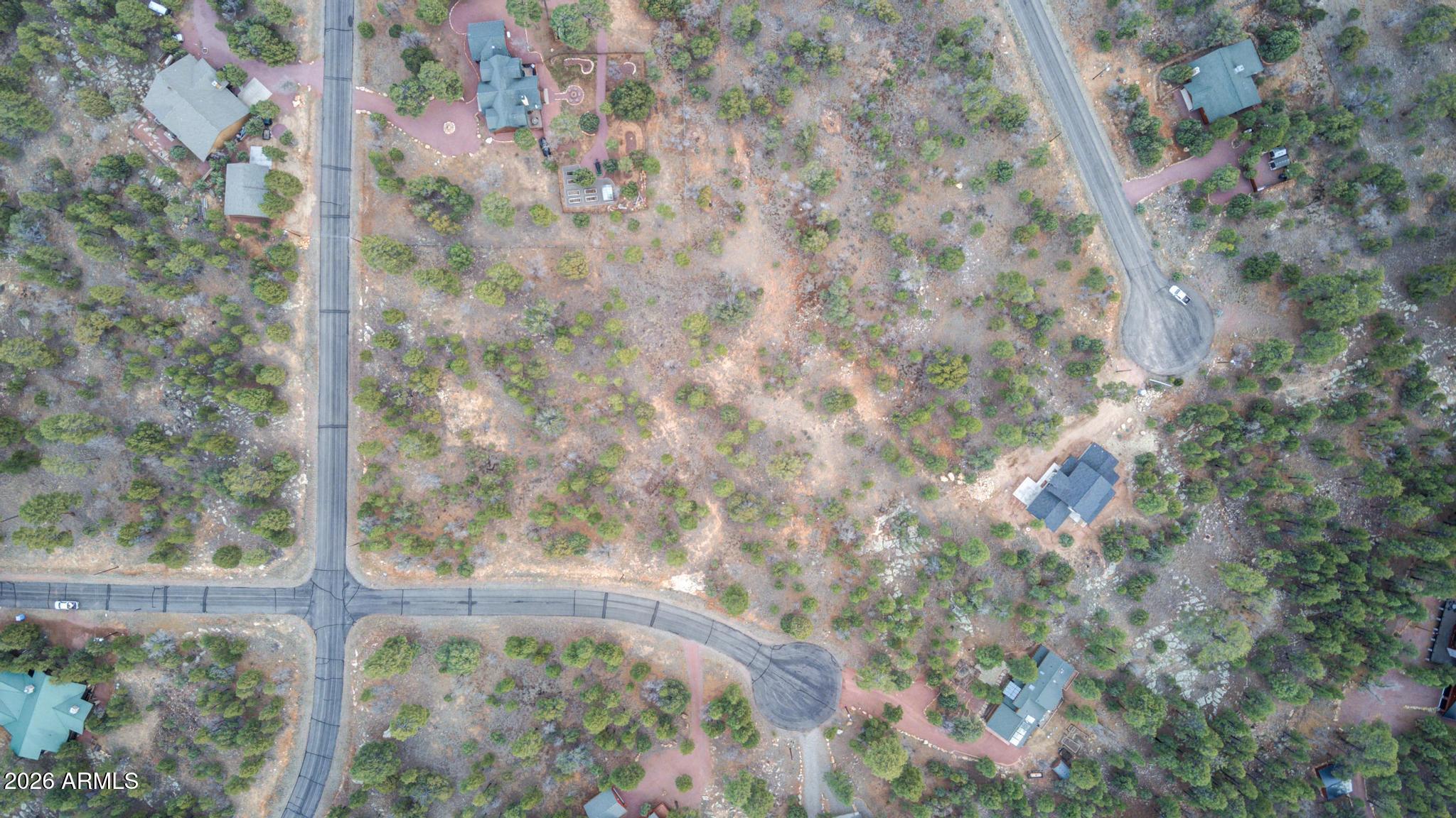 5527 Datil Circle, Unit 325 Happy Jack, AZ 86024 - Photo 9 of 21 a view of a tree with a yard
