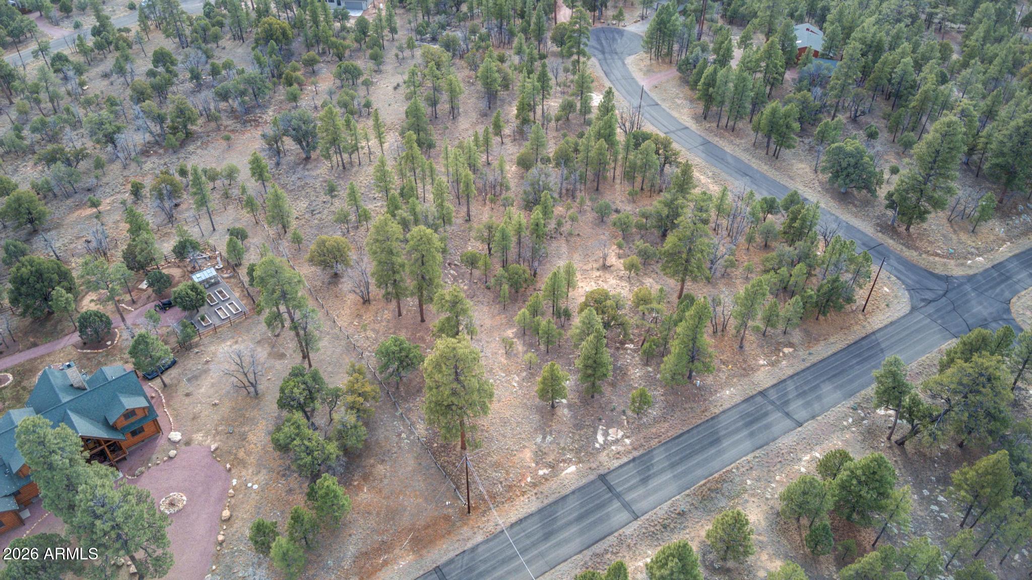 5527 Datil Circle, Unit 325 Happy Jack, AZ 86024 - Photo 10 of 21 a view of a forest from a balcony