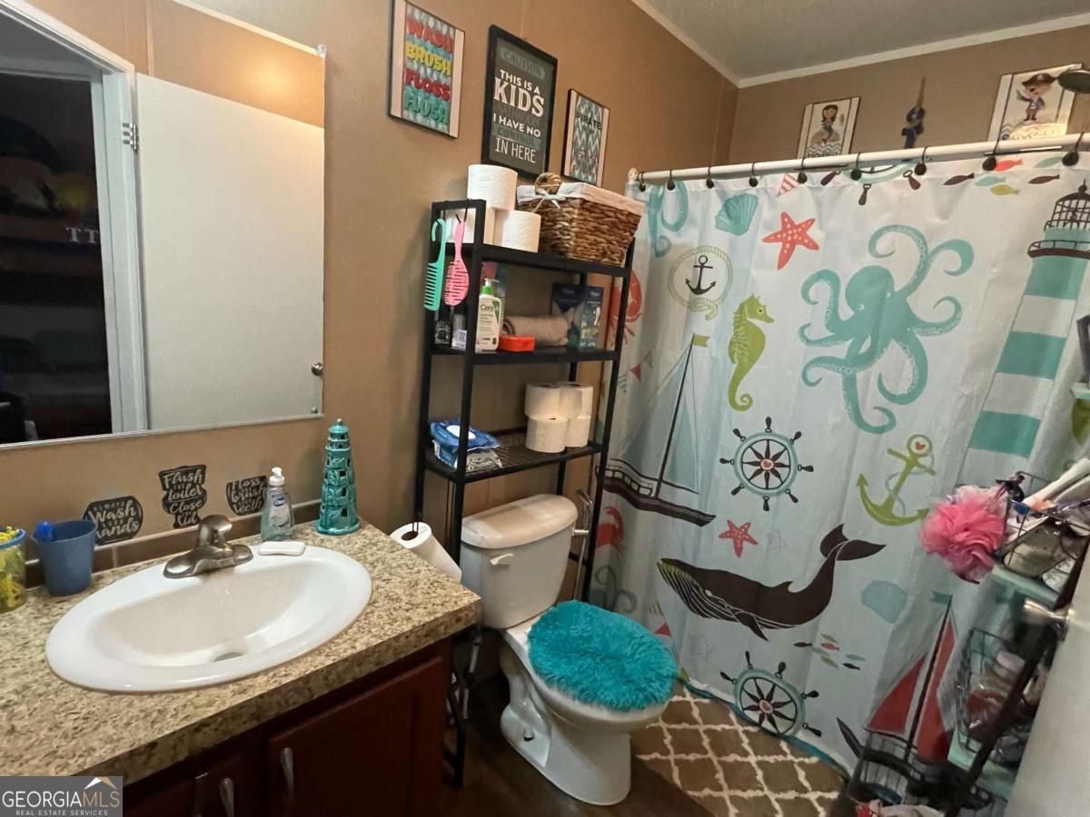 601 Auburn Road Glennville, GA 30427 - Photo 15 of 17 a bathroom with a sink toilet and a mirror