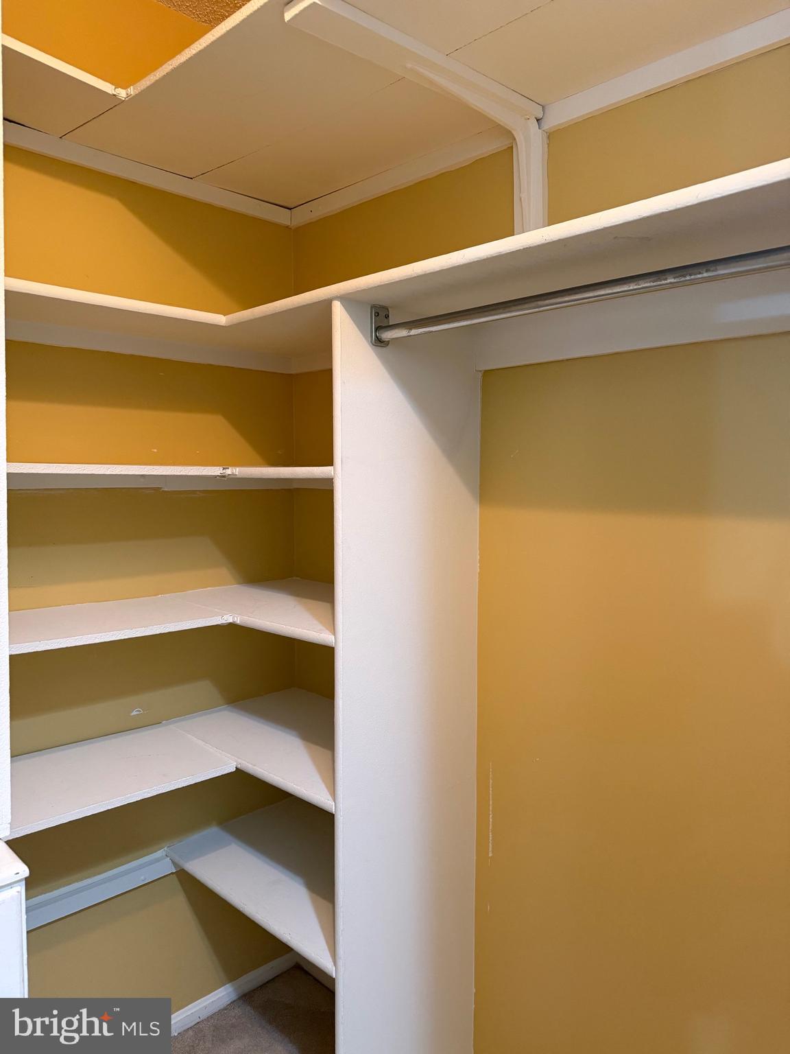 15107 Interlachen Drive, Unit 2119 Silver Spring, MD 20906 - Photo 16 of 27 Walk-In Closet in Primary Bedroom